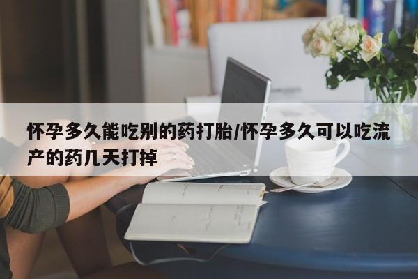 药流药怎么买怀孕多久能吃别的药打胎/怀孕多久可以吃流产的药几天打掉